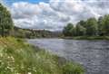 River Spey 'pollution incident' may be killing fish and making people sick 