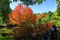 Make the most of gardening in autumn, experts urge green fingered householders