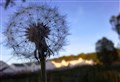 Sounds and smells of nature across the Highlands can lift the spirit