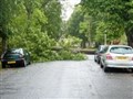 Falling tree narrowly misses cars in Tuesday's storm