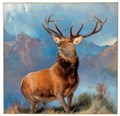 Glenfeshie masterpiece is going nowhere