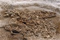 Analysis of viking skeletons suggests they were not all Scandinavian