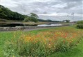 Andy Summers: Creating a Highland-wide wildflower meadow mosaic