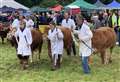 Preparations under way for this year's Grantown Show