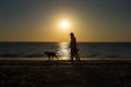 Hand injuries sustained by dog walkers cost NHS millions each year – study