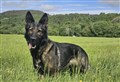 Police searching rural Highlands for missing PD Fergie