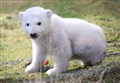 WATCH: Meet little Brodie at the Highland Wildlife Park