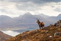 Scotland’s ‘tourist tax’ welcomed by Highland Council but tourism body fears for ‘hard-pressed sector’
