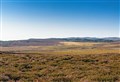 Rewilding of Grantown grouse moor 'exemplary'