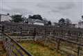 Hope for affordable housing project in Badenoch's disused livestock market