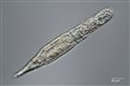 Tiny creatures recovered from permafrost found to be 24,000-years-old – study