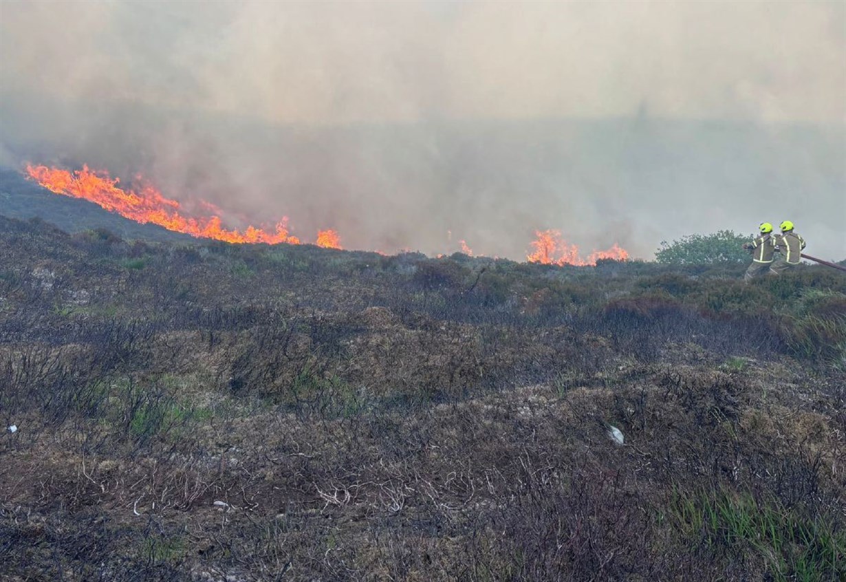 There are lessons to be learnt from devastating wildfires, says Cairngorms National Park Authority