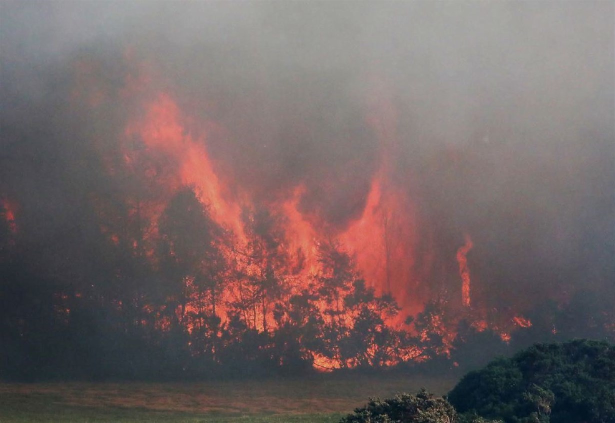 Huge wildfire closes several roads on Dava moor