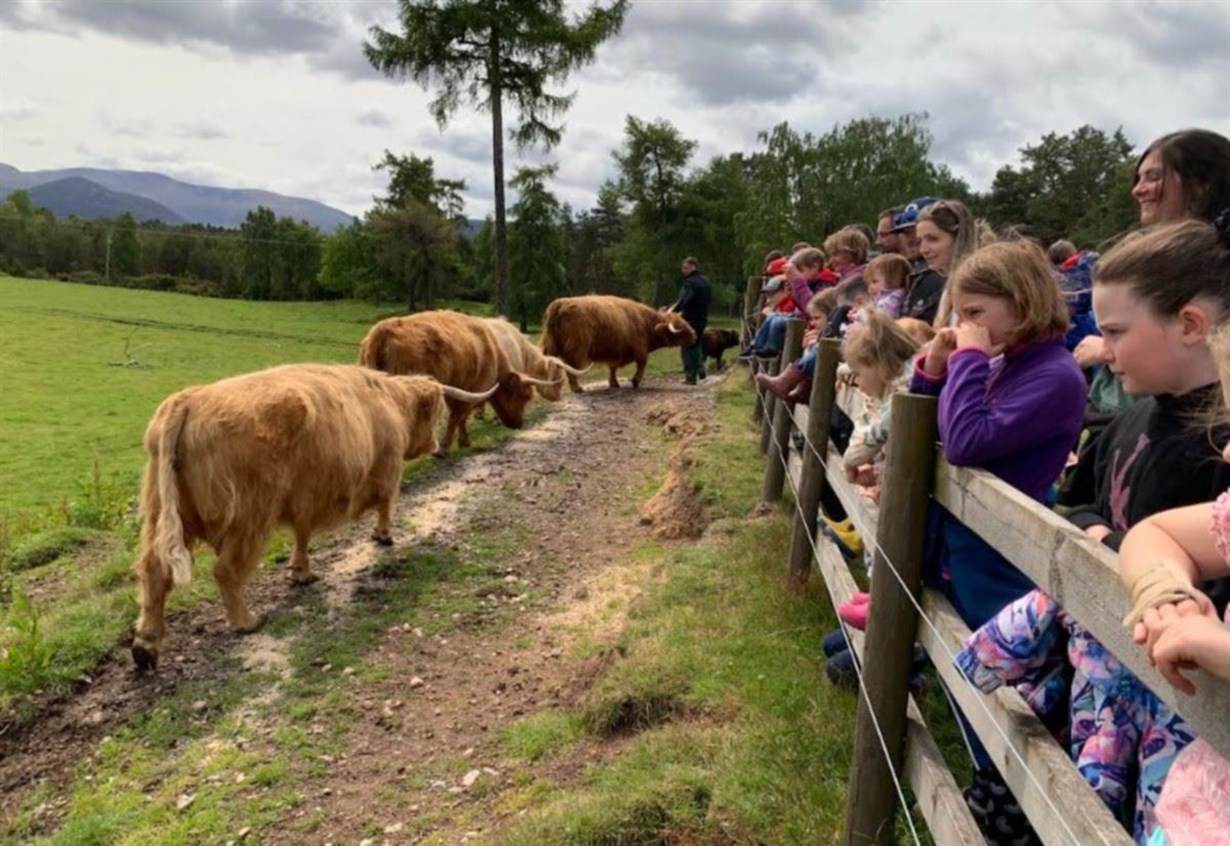 Open farm day at Aviemore could be start of something big