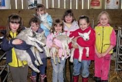 Brownies learn about lambing