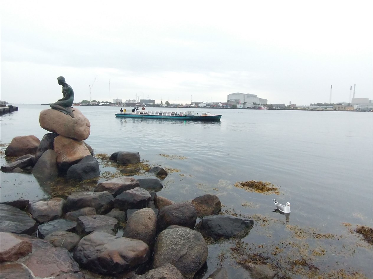 The Little Mermaid really is little. But she's a big attraction. Picture: Hector Mackenzie