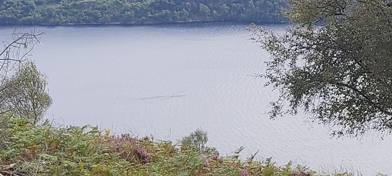 Walker spotted mysterious shape from vantage point high above the loch
