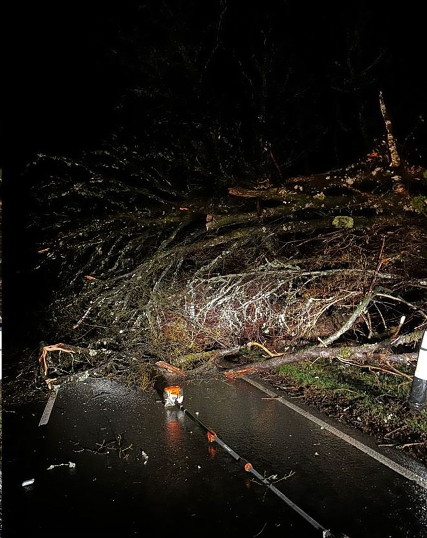Just some of the tree falls reported along the A82. Picture: Bear Scotland.