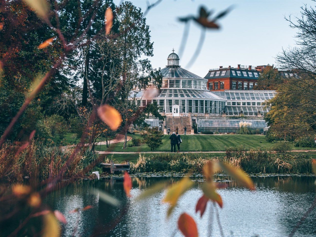 Botanical Garden is located in the centre of Copenhagen. The garden covers an area of 10 hectares and is particularly noted for its extensive complex of historical glasshouses dating from 1874. Daniel Rasmussen