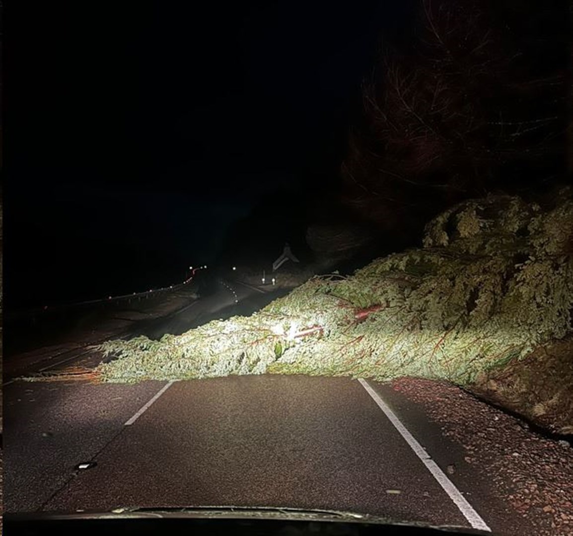 Just some of the tree falls reported along the A82. Picture: Bear Scotland.