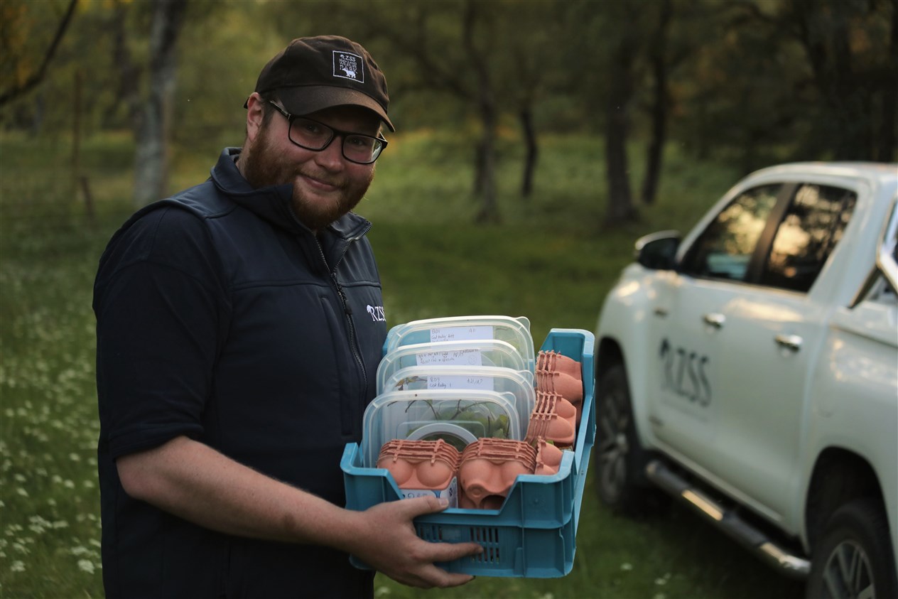 RZSS invertebrate keeper Adam Button at the Dark Bordered Beauty Moth release in the strath. Picture: RZSS.