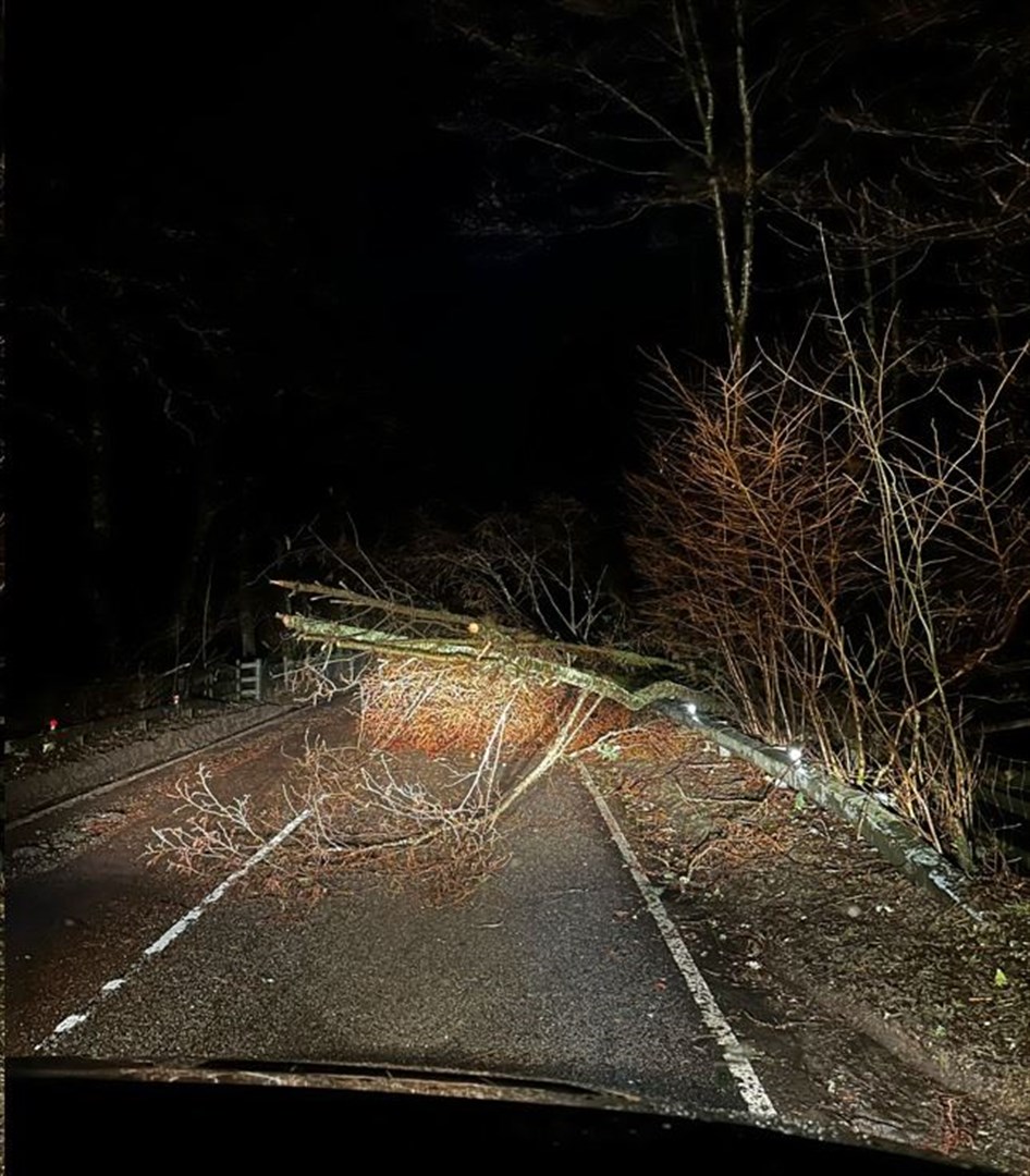 Just some of the tree falls reported along the A82. Picture: Bear Scotland.