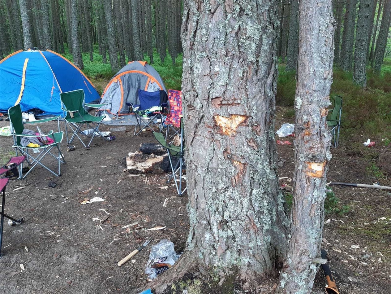 Damage done to trees at the beauty spot by the group.