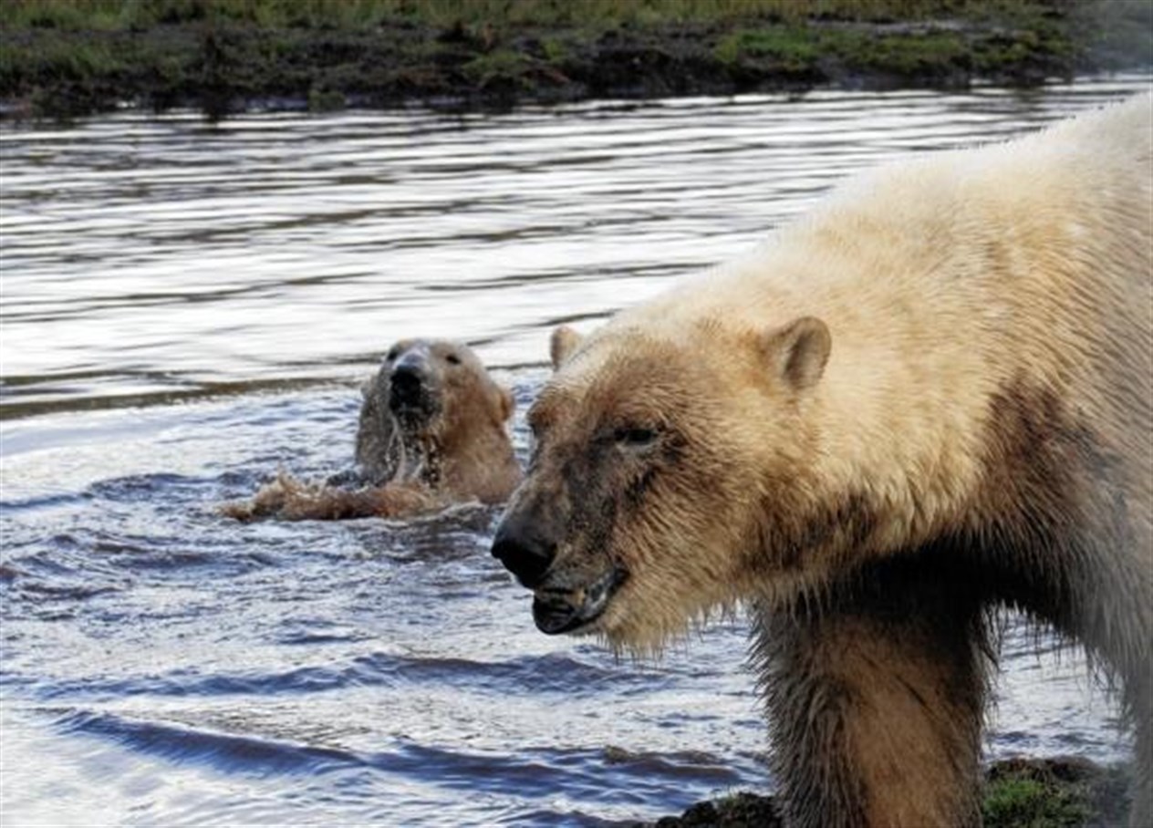 Having a splashing time (all photos by Frances Porter)