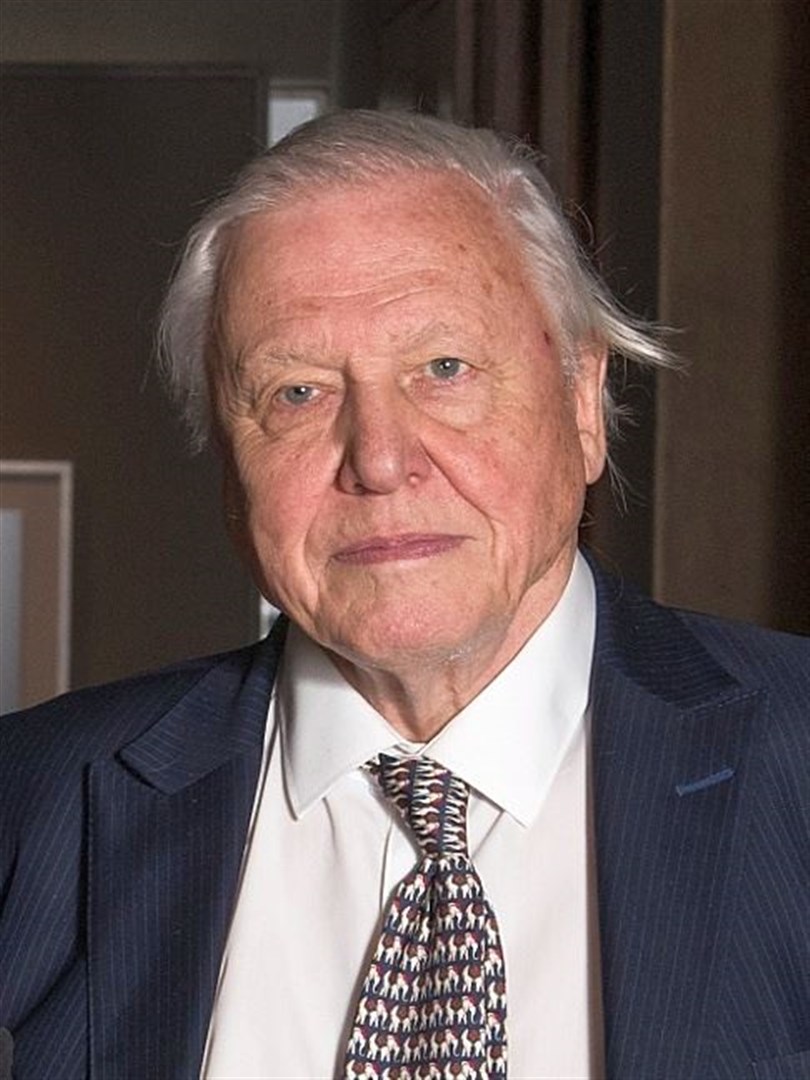 Legend of the natural world... Sir David Attenborough.