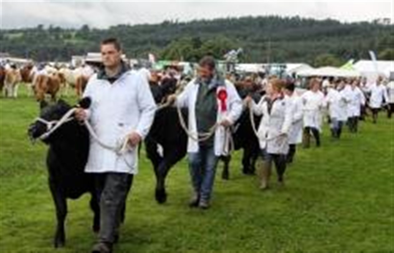 Part of the grand parade of show winners