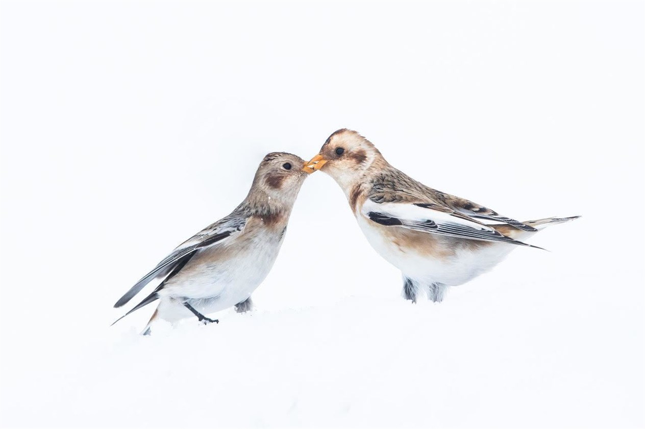 One of Andy Howard's photos.