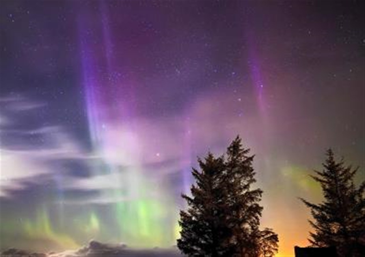 Northern lights over Harpsdale by Stewart Watt of Thurso.