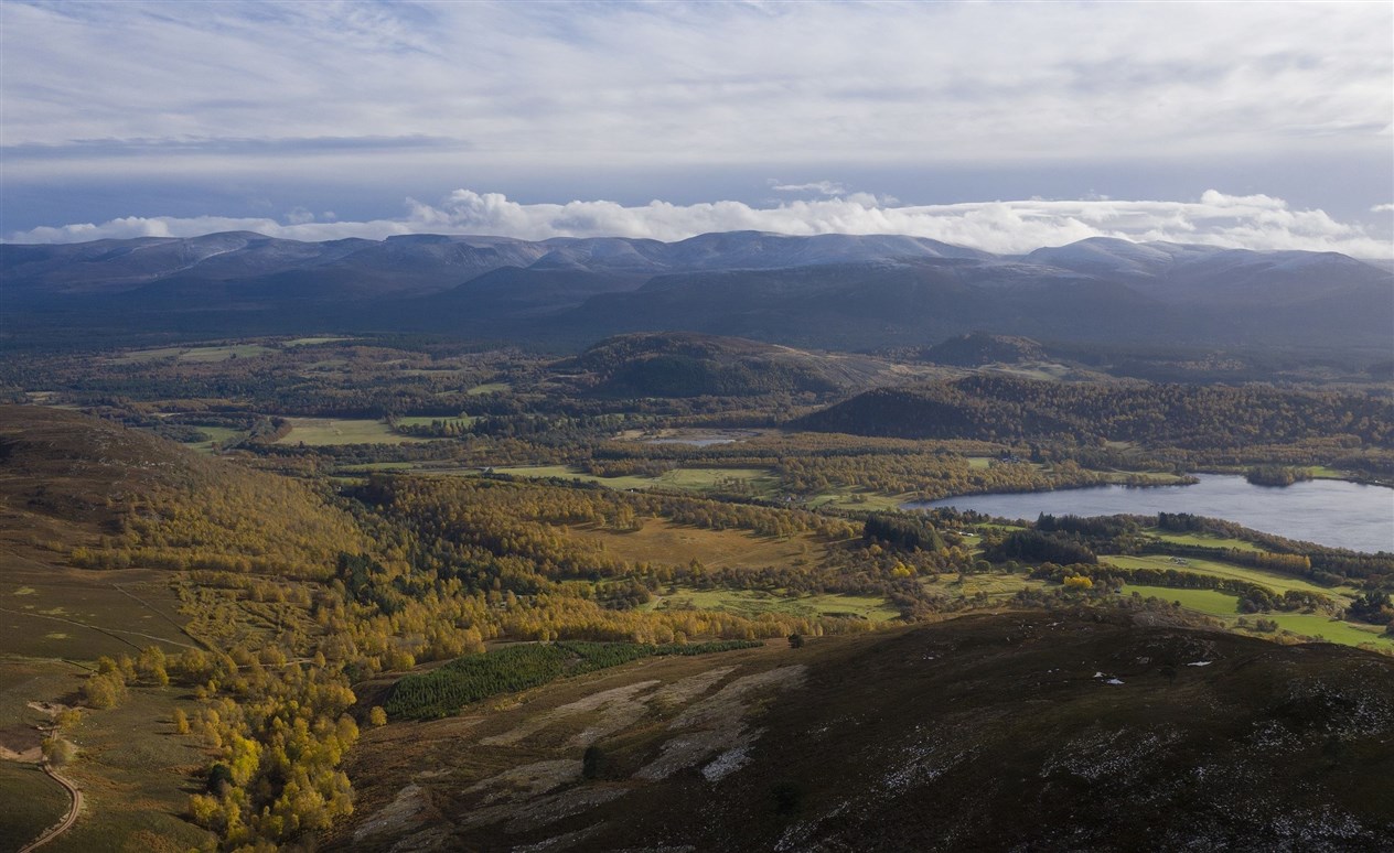 The estate takes in some of the most important land for flora and fauna in the UK.