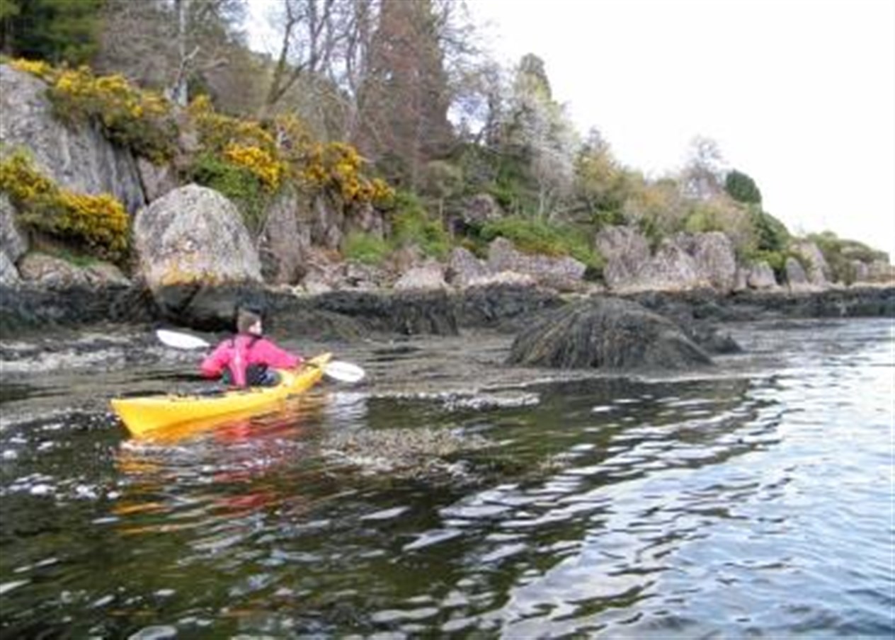 Sea kayaking on Moray Firth