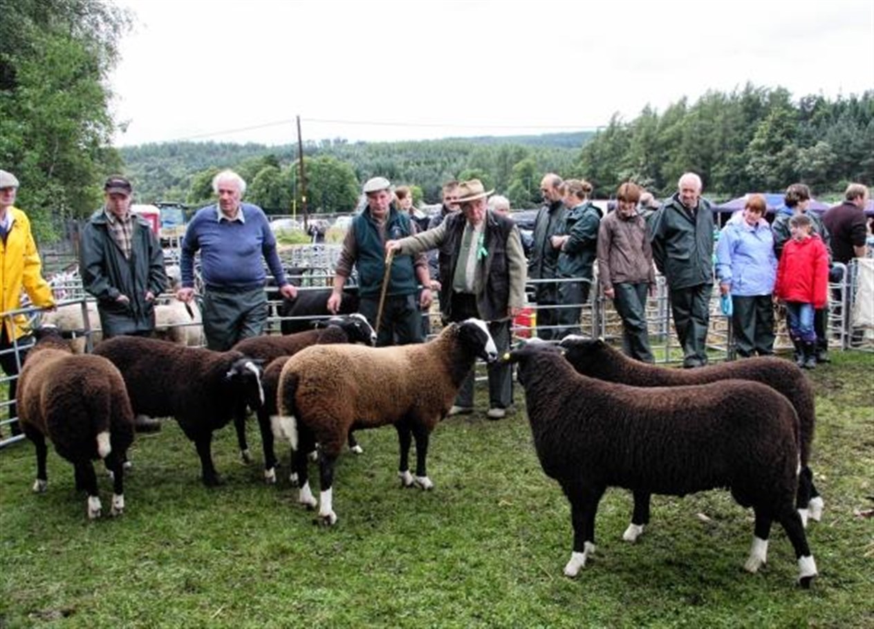 Judges and shepherds cast their expert eye over some entries