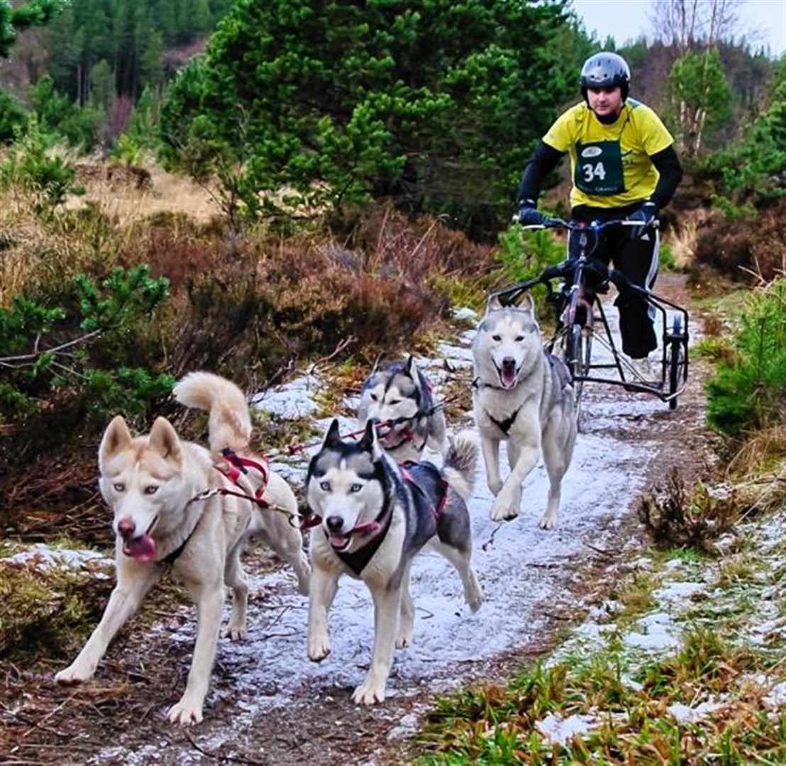 Not much room on the homeward trail