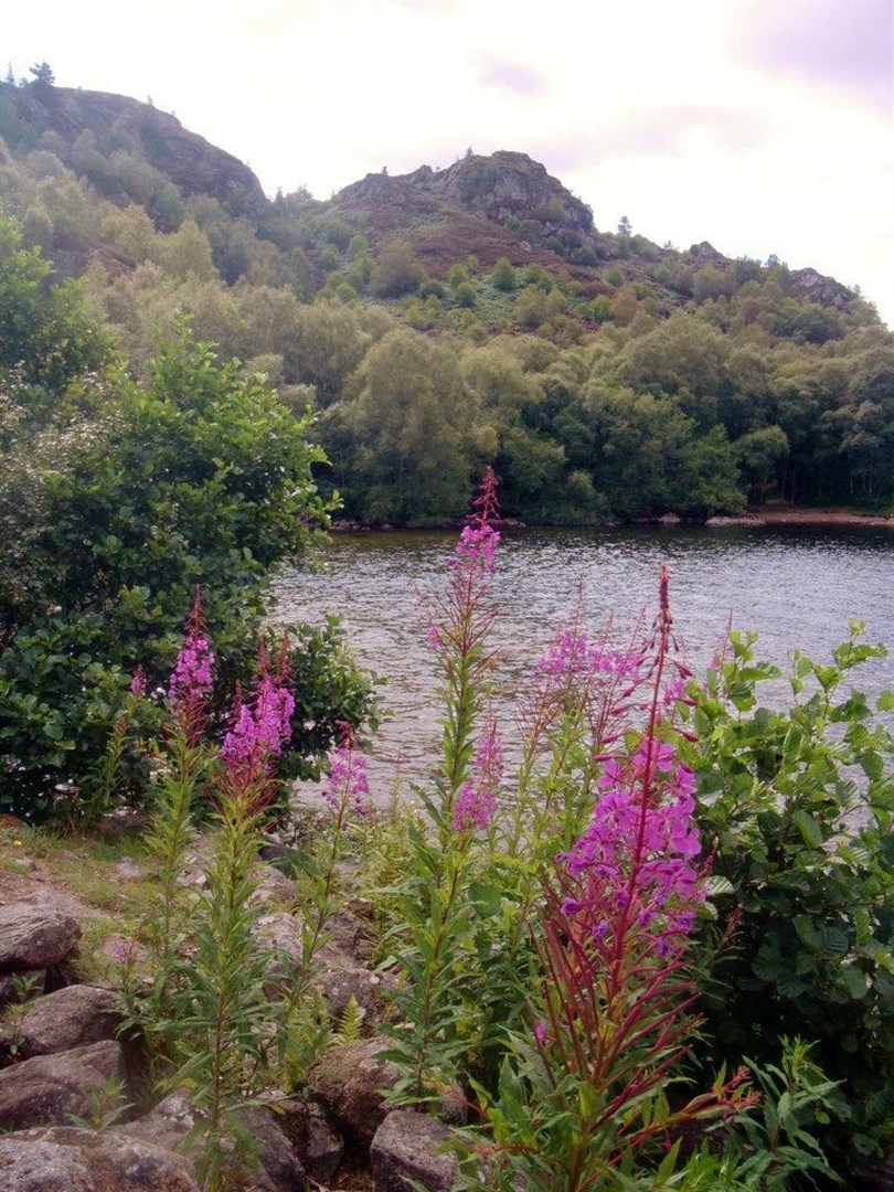 Duntelchaig bike 21