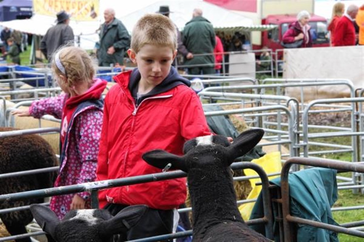 Two children enjoy meeting the sheep in the pens