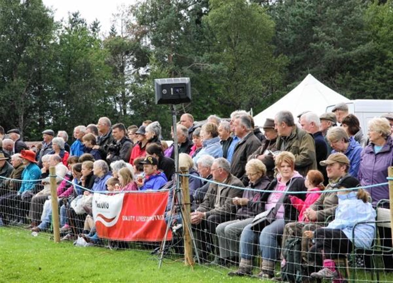 Around 3,000 specators turned out for the show