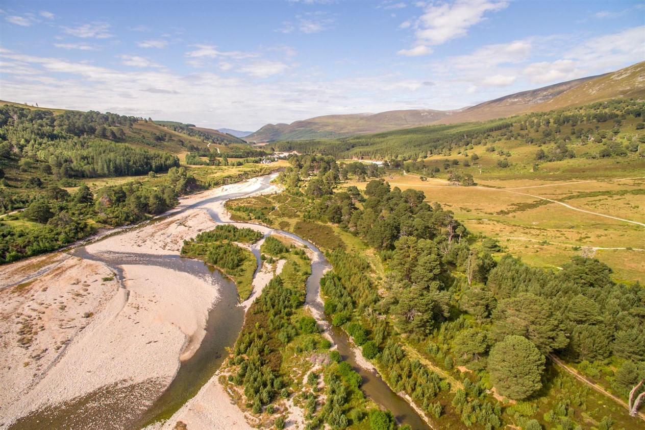 Regenerating woodland along the river feshie. Glenfeshie in the Cairngorms Connect area, Scotland.