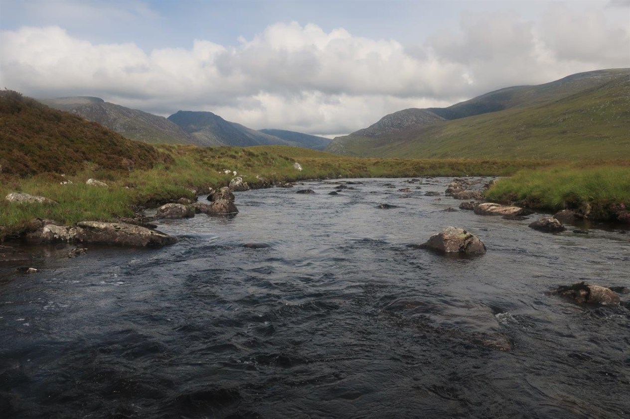Am Faochagach (49)