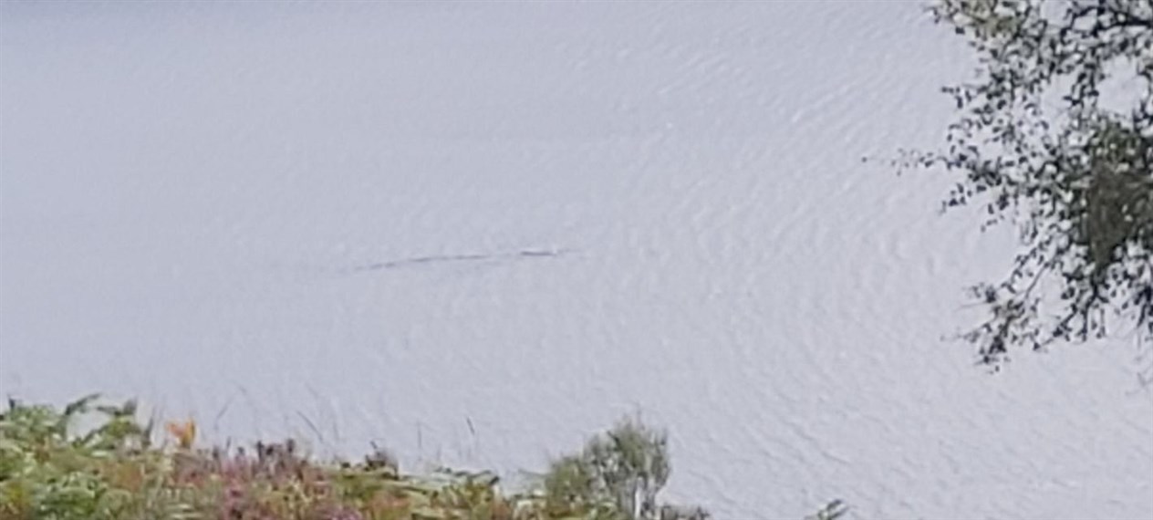 Walker spotted mysterious shape from vantage point high above the loch
