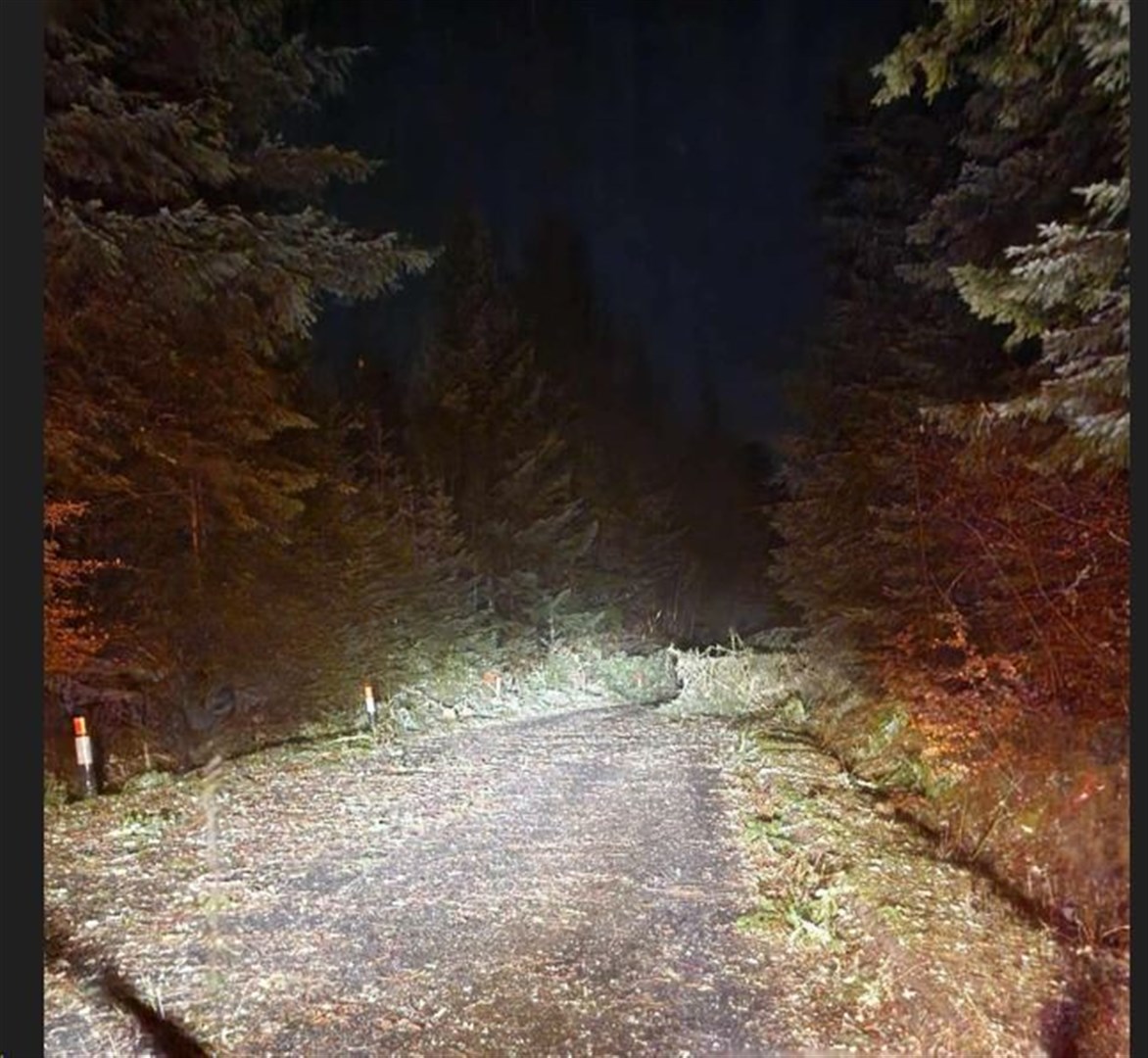 Just some of the tree falls reported along the A82. Picture: Bear Scotland.