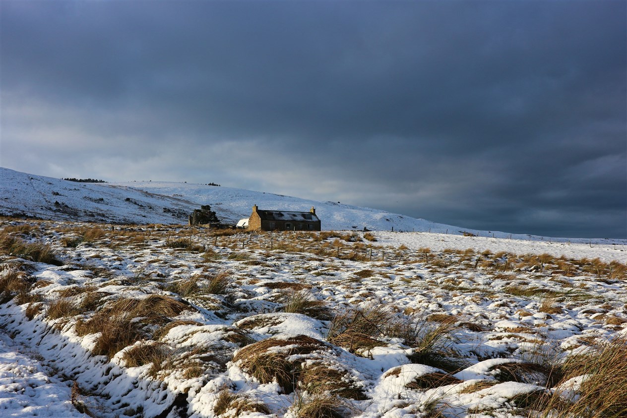 Wild, lonely, entrancing Dava Moor. Such a story to tell...