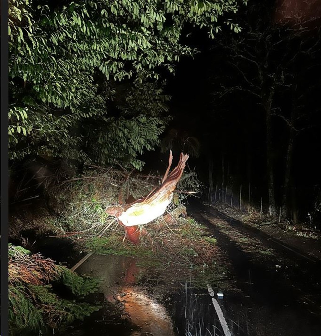 Just some of the tree falls reported along the A82. Picture: Bear Scotland.