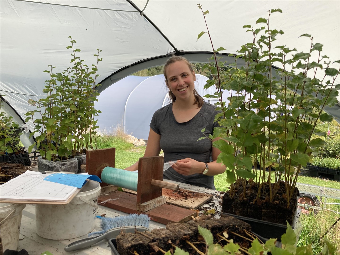Student Heather McGowan hard at work rewilding