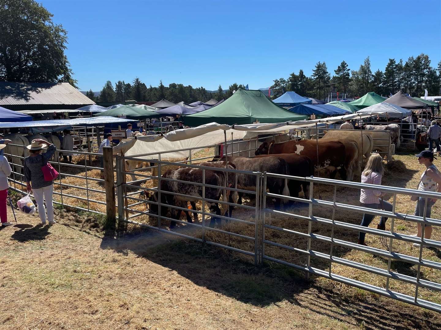 It was another successful agricultural show held in excellent weather, but there were problems at the entrance gates due to problems with the contactless payment system and a lack of cash at the other ATMs in Grantown.