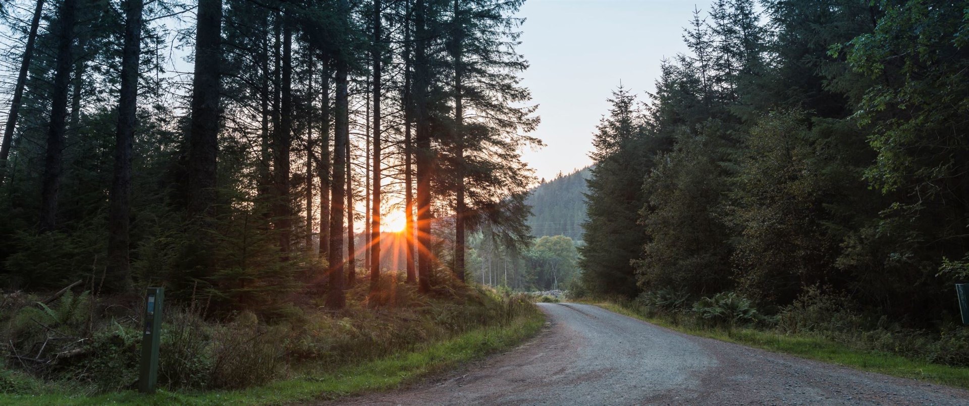 Forestry and Land Scotland made the plea ahead of the Easter weekend.