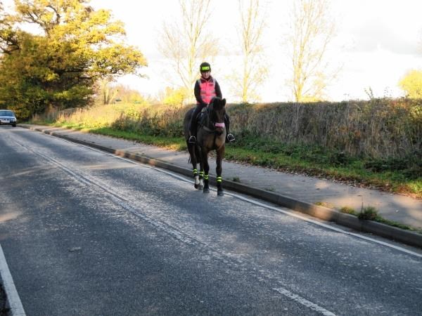 Horse riders to be asked to give their views on speed limits
