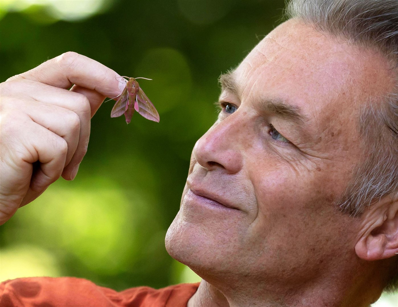 Chris Packham is one of the famous supporters of the Big Butterfly Count.